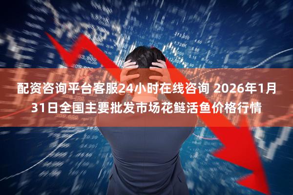 配资咨询平台客服24小时在线咨询 2026年1月31日全国主要批发市场花鲢活鱼价格行情