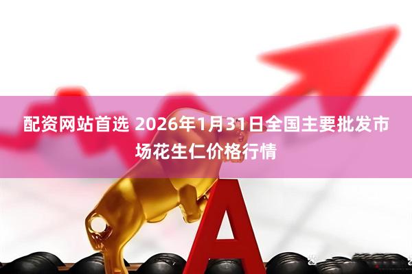 配资网站首选 2026年1月31日全国主要批发市场花生仁价格行情
